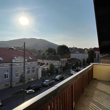 아파트 Stojanovic 아란젤로바츠